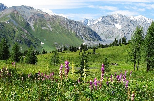 Экология – біздің  планетамыздың тазалығы