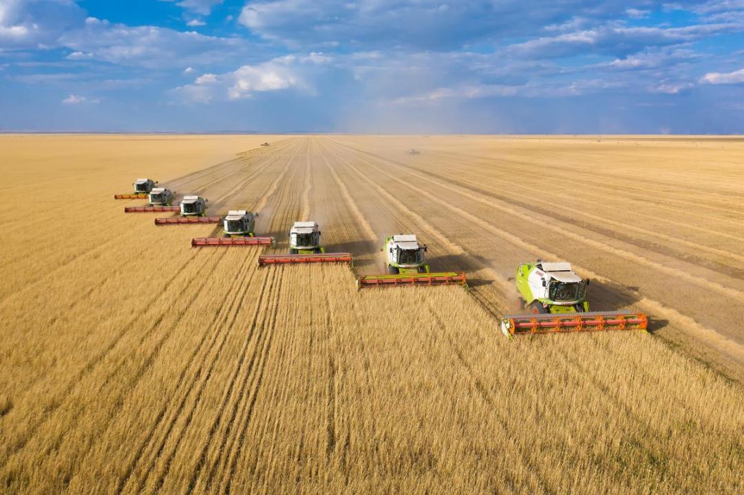 Төрт аяқта тұрған семіз әйелдердің секс фотосуреттері